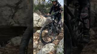 Freewheel