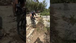 La Pittoresque /Freewheel
