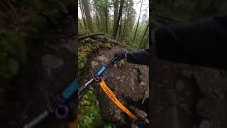 Terrifying Rock Drop