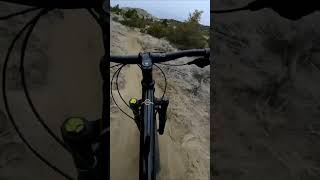 Singletrack Therapy #mtb