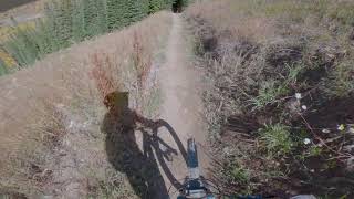 Vail Bike Park - Sidekick-Golden Gate