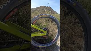 opinión Michelin Wild Enduro rear...