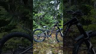 Bike Check! Marin Alpine Trail Carbon  #mtb #bike