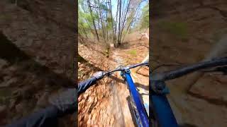 speed and flow  #mountainbike #mtb #mtblife...