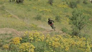 Amirsay Trail Edge Opening