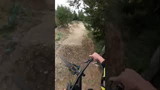 The Biggest Public MTB Jumps Ever?! #shorts
