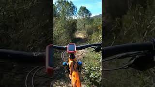 Secret trail ️ #mtb #mountainbike #shorts...