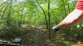 Carvins Cove MTB - Tuck-A-Way Trail