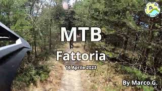 MTB Fattoria Nava Freeride Park