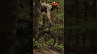 Pivot Firebird vs Yeti SB160