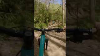 Got to tag along on a @thebikefarm Pisgah tour...