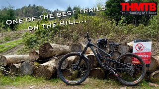 Haldon forest clearance mtb trails