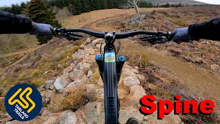Spine - Tarland Trails Pittenderich