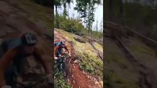 How Fast is This Trail?! YES #mtb #bike...