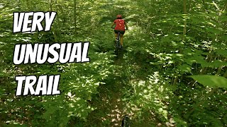 Big M Mountain Biking Trails near Manistee, MI...