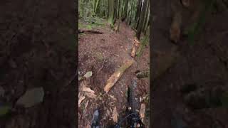 Super sick jump line on the shore !!