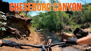 Cheseboro Canyon Trail After the Rain -...