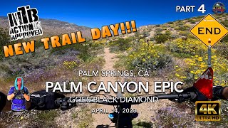 MTB Riding The Palm Canyon EpicPart 4 | Palm...