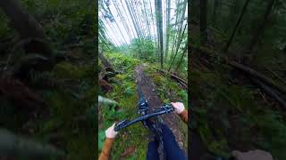 Wild, Steep Run!