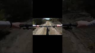 Brakes Not Necessary #mtb