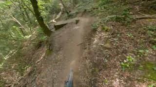 Viperone - Piombino MTB Trail Area
