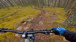 Ballater red and blue trails:  ET into Roller...
