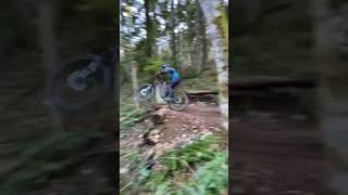 Flow Line! #mtb #bike #forest