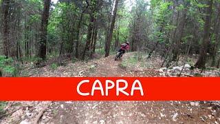 MTB Travalle 29.04.2023 sentiero CAPRA