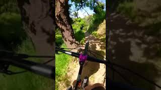 Checking out a rad trail.