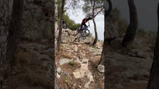 Freewheel #mountainbike #enduro #mtb #bike...