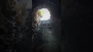 a single guy built this tunnel #tunnel #built