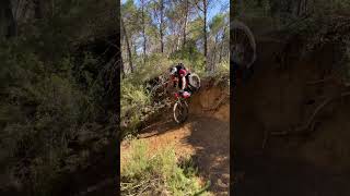 Freewheel #mountainbike #enduro #mtb #bike...