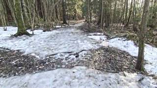 13 February 2023 Wet, muddy and icy trails at...