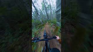 High Speed BERMS!