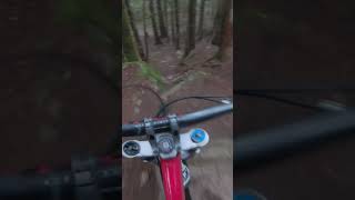Gnarly Chute