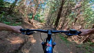 Hulk n Hogan @ Codgers MTB Park. Nelson