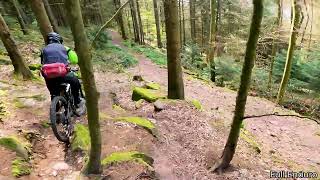 #Shorts - Full Enduro & Plättletrail
