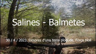 Salines - Balmetes