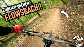 FLOWTRAIL MOSBACH endlich wieder Flowsbach!  /...