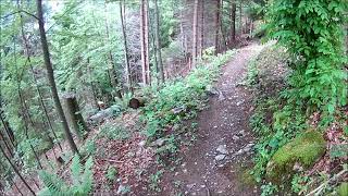 KtGL, Singletrail Glarus, Mulleren Mollis