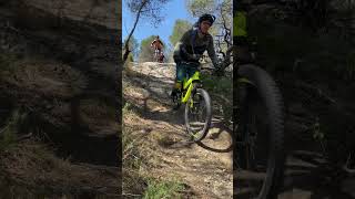 Freewheel’s