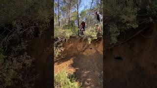 Freewheel’s
