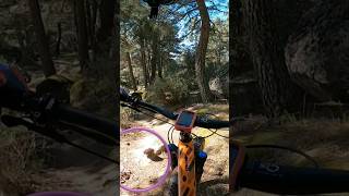 Piña Endurera  #shorts #mtb #viralshorts...