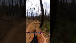hitting the huge gap on Avery creek #pisgah...
