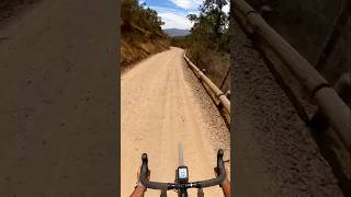 ¿Las gravel lo pueden todo?