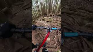 Hardtail vs STEEP Trail