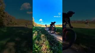 flow #shorts