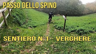 Passo Spino - Sentiero N. 1 - Verghere