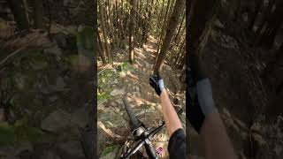 Yep. Rode it #shorts