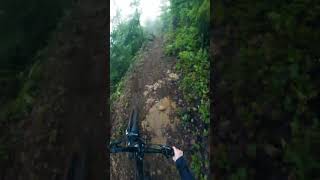 This Section Goes Hard!!